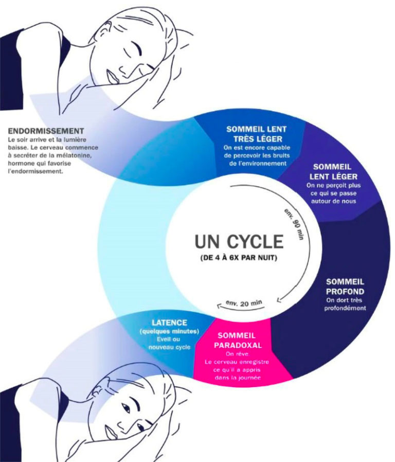 Mieux Comprendre Les Cycles Du Sommeil